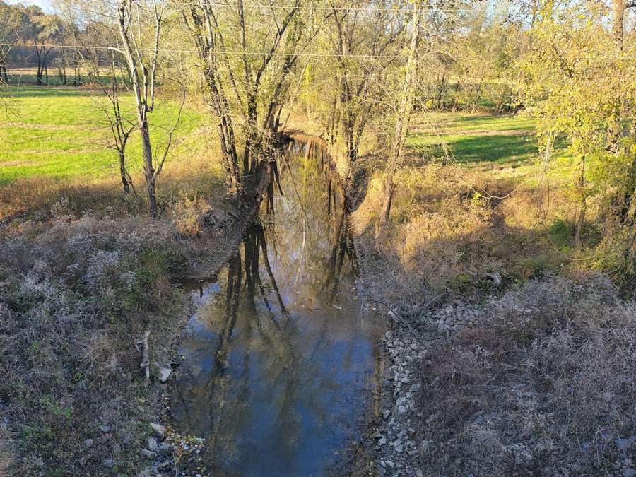 Creek 1.jpg